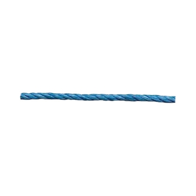 Polypropylene Rope 10mm Dia 1 metre Blue Cat: 036/106845