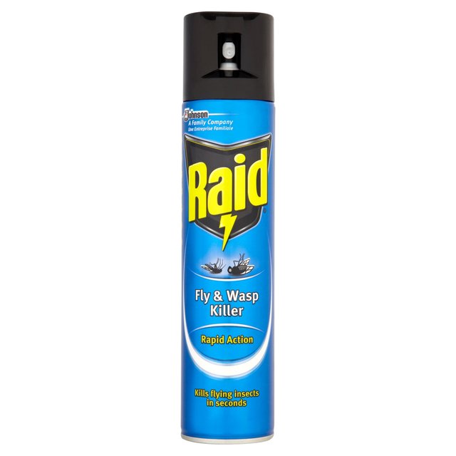 Raid Fly and Wasp Killer 300ml Aerosol