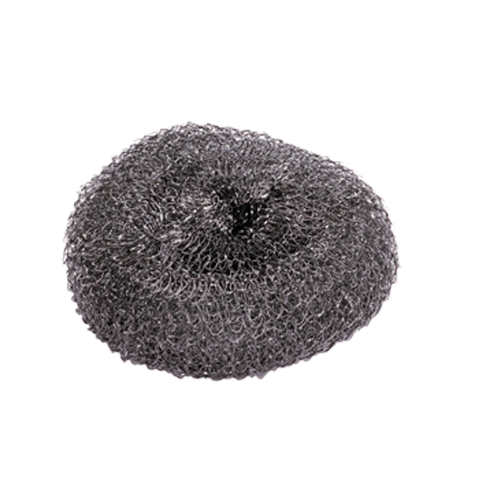 Stainless Steel Scourer